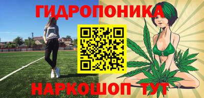 стаф Братск
